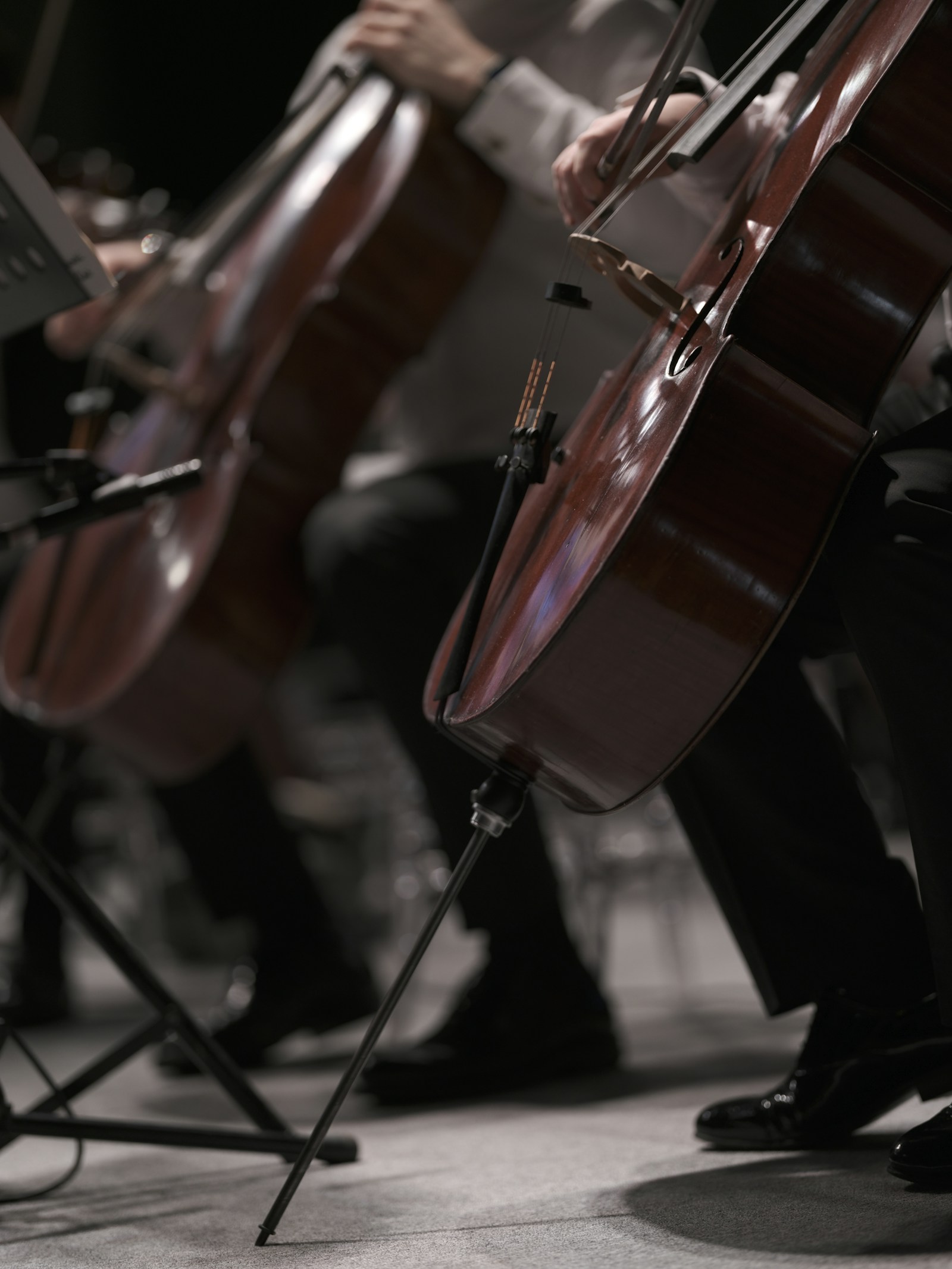 Seated cellists playing, cellos resting on their endpins