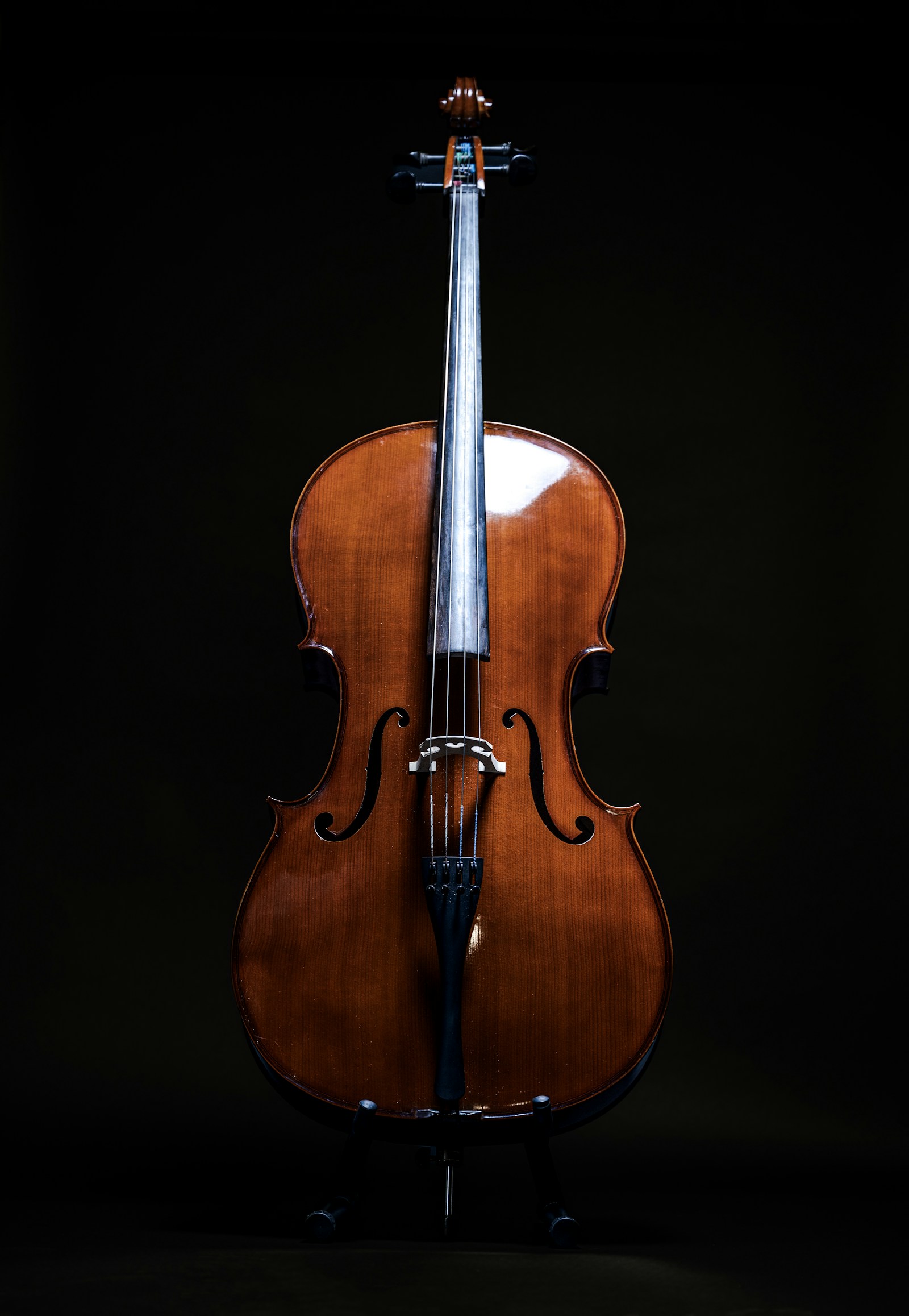 A whole cello, scroll to endpin, against a dark background