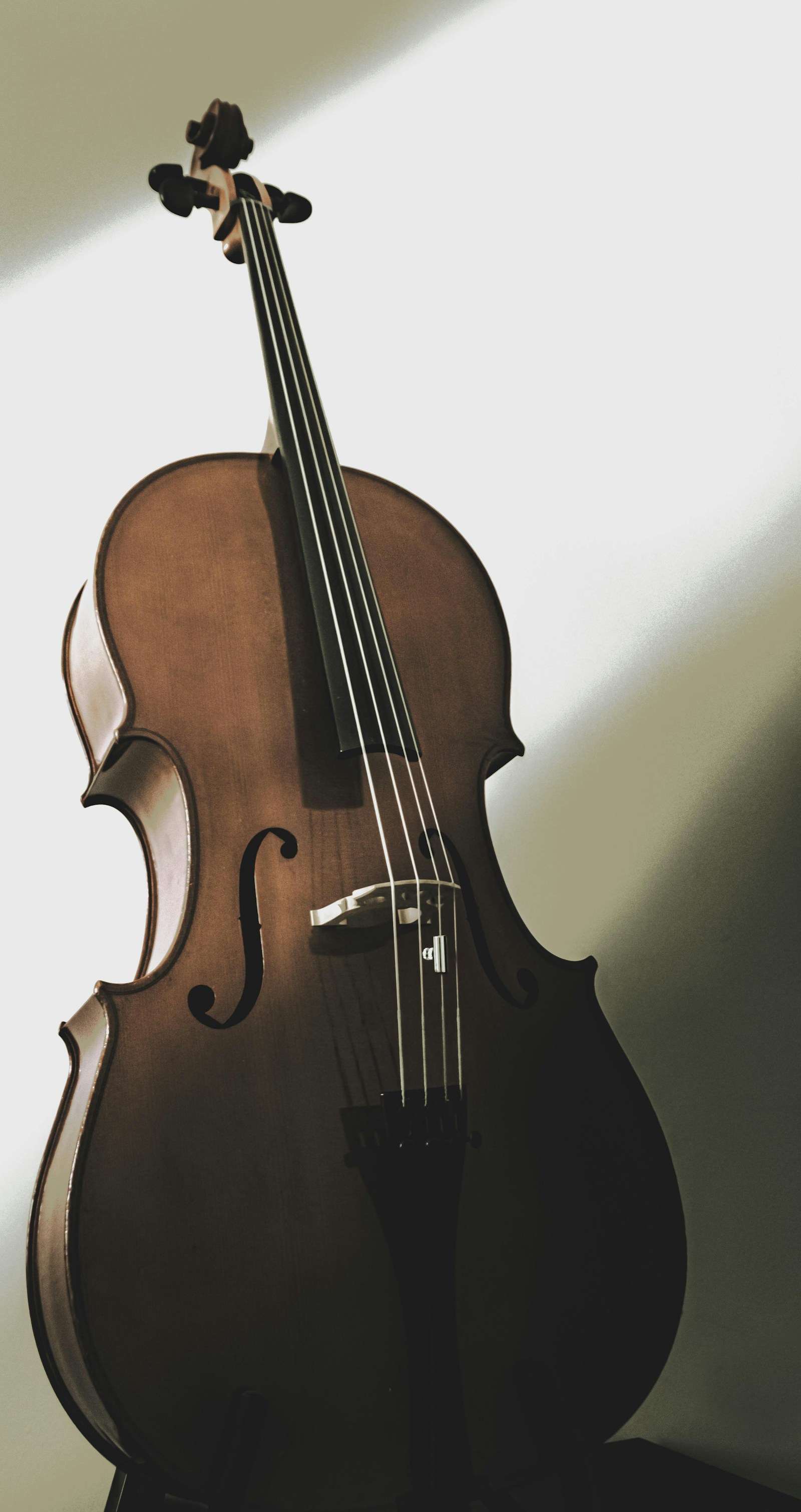 A cello standing upright in soft, warm light